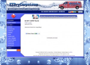 Matching WordPress Blog Website - EZ Dry Carpet